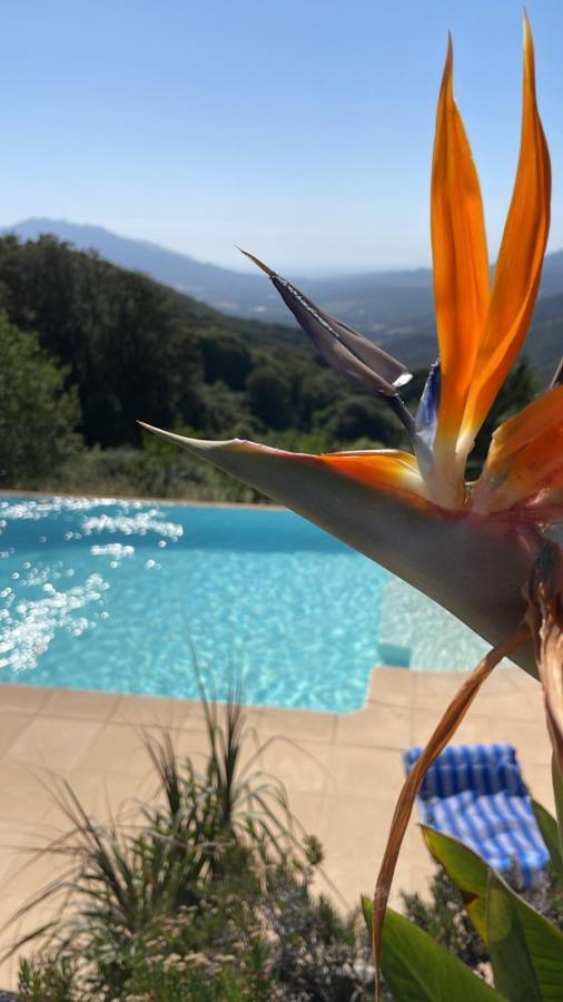 Villa U Tramontu Granace Esterno foto