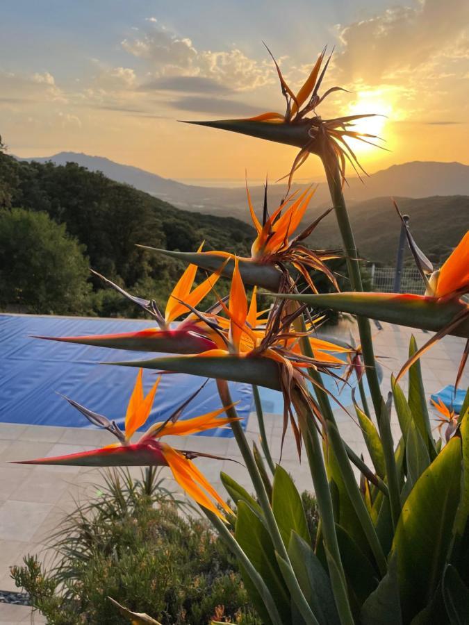 Villa U Tramontu Granace Esterno foto